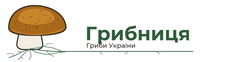 Грибниця